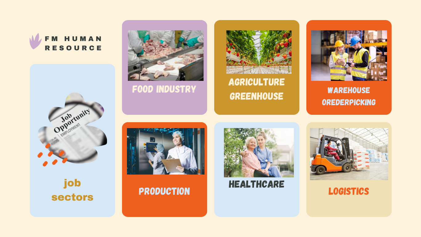 Locuri de munca in strainatate in sectoare precum industria alimentara-abatoare,agricultura si sere,orderpicker in depozite,stivuitorist,productie si in domeniul medical,asistenti medicali in azile persoane varstnice in Germania.
